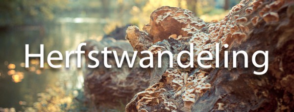 Afbeeldingsresultaat voor herfstwandeling